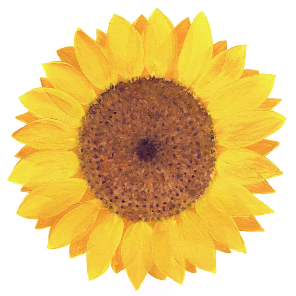 Sunflower - image 3 - student project