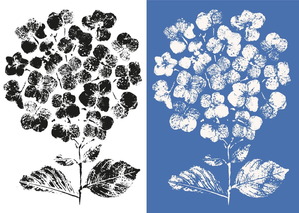 Inked Hydrangea - image 2 - student project