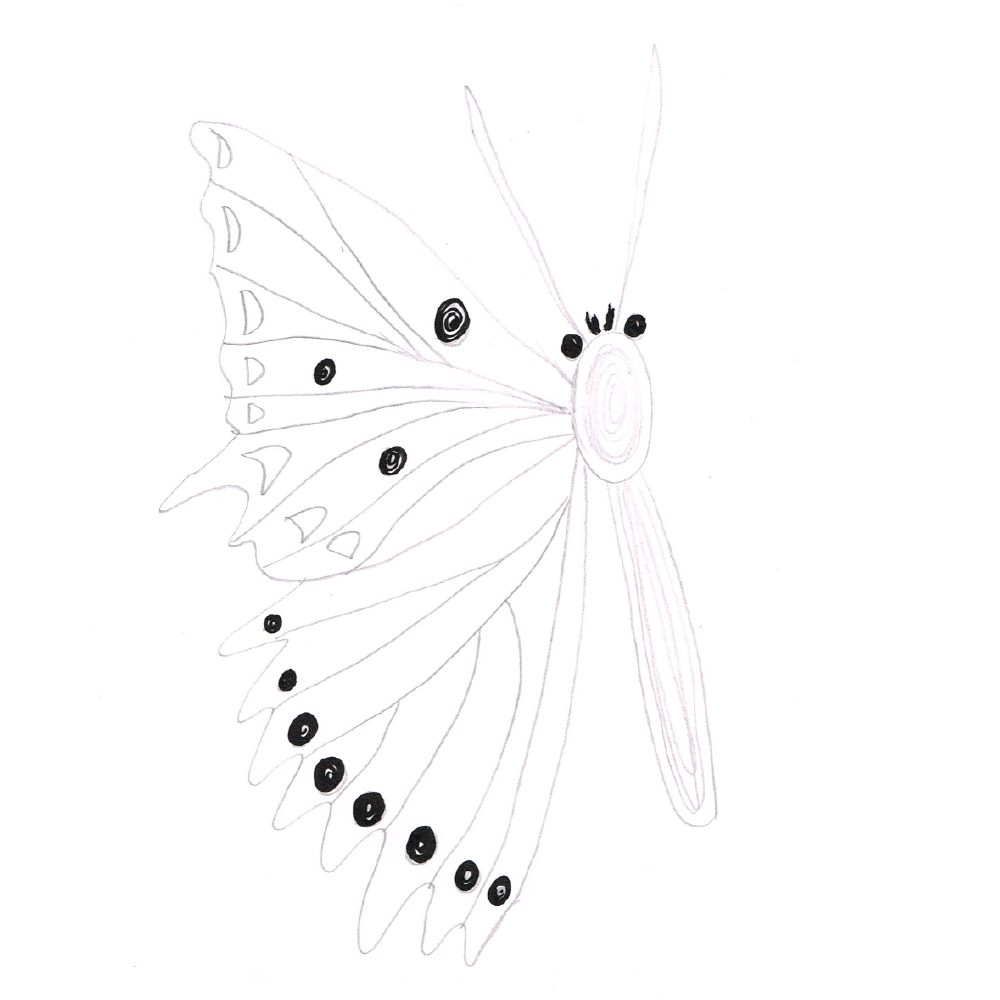 Butterflies (example project) - image 3 - student project