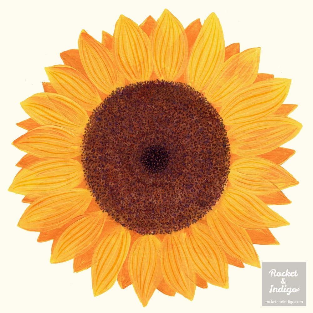 Sunflower - image 6 - student project