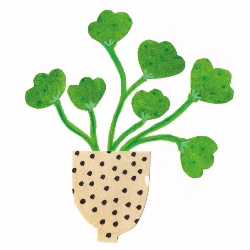 Houseplants - image 1 - student project