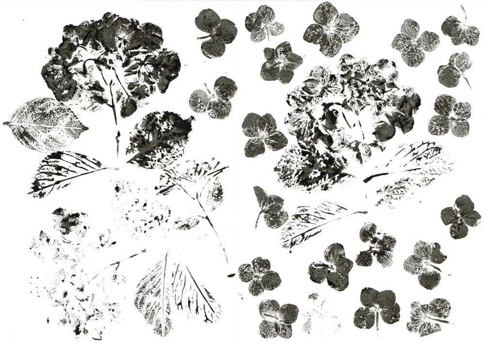 Inked Hydrangea - image 1 - student project