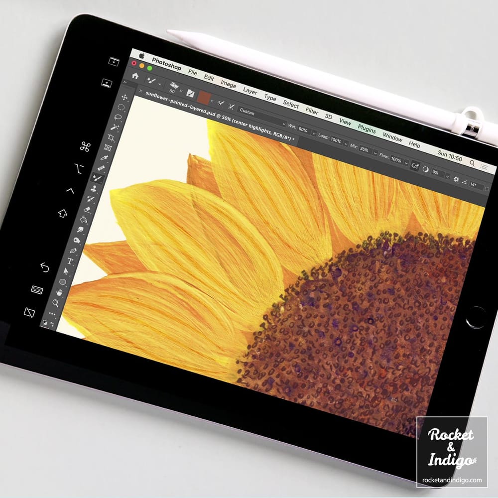 Sunflower - image 4 - student project