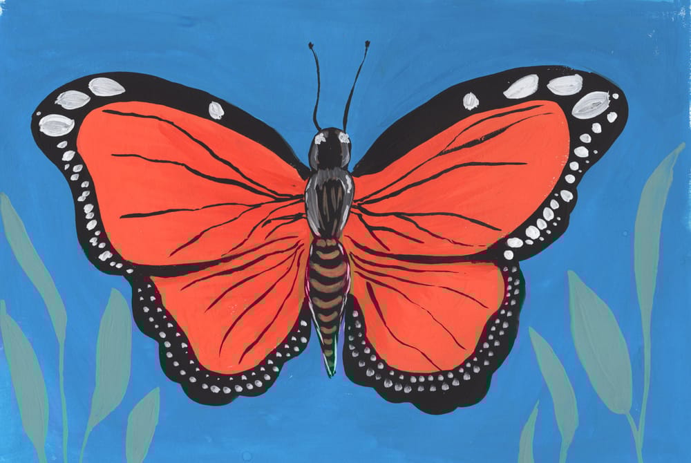 Introduction to Color Theory: From Beginner to Butterfly - image 2 - student project