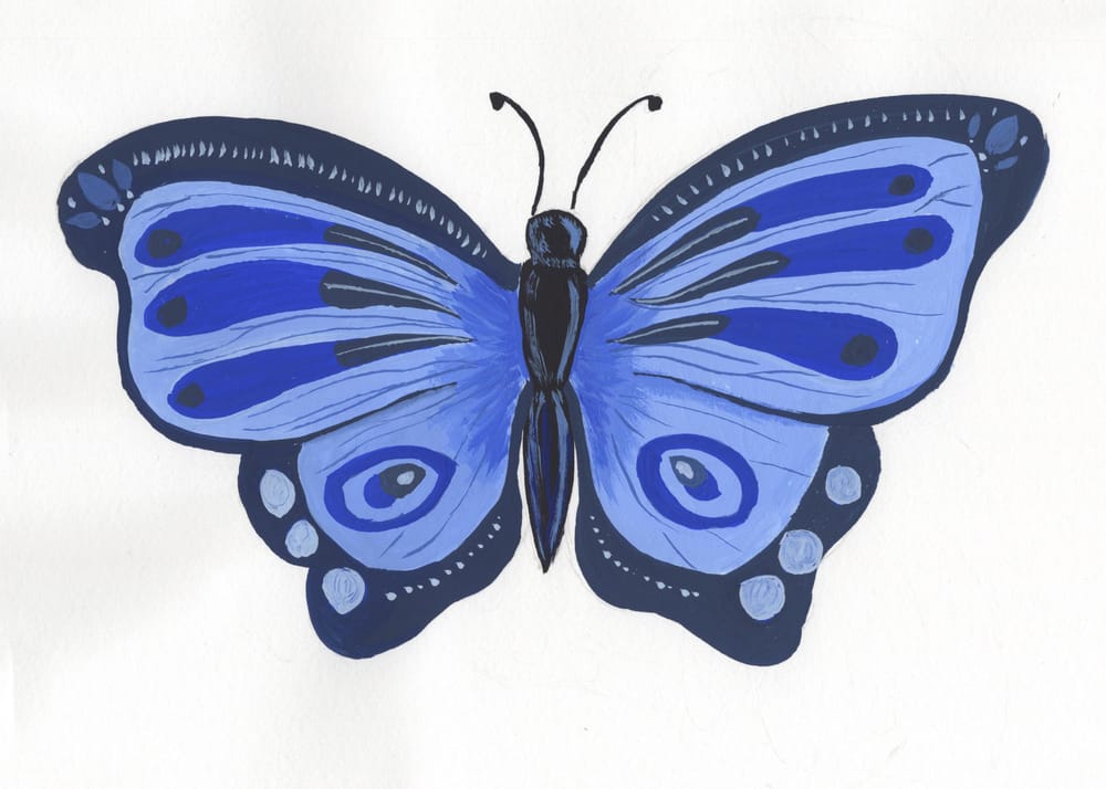 Introduction to Color Theory: From Beginner to Butterfly - image 1 - student project