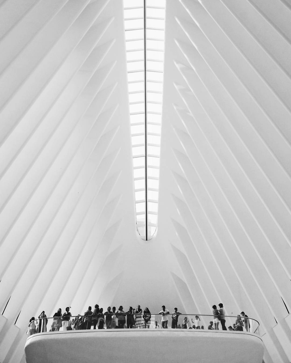 The Oculus - image 1 - student project