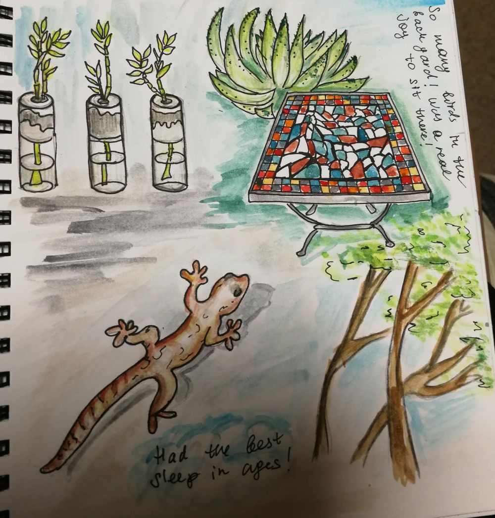 South Africa! - image 15 - student project