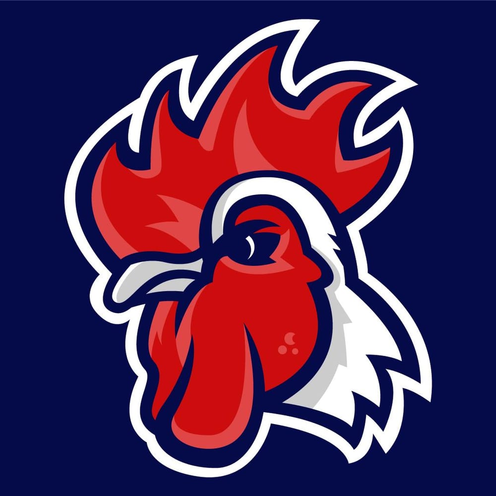 Rooster Logo  - image 5 - student project
