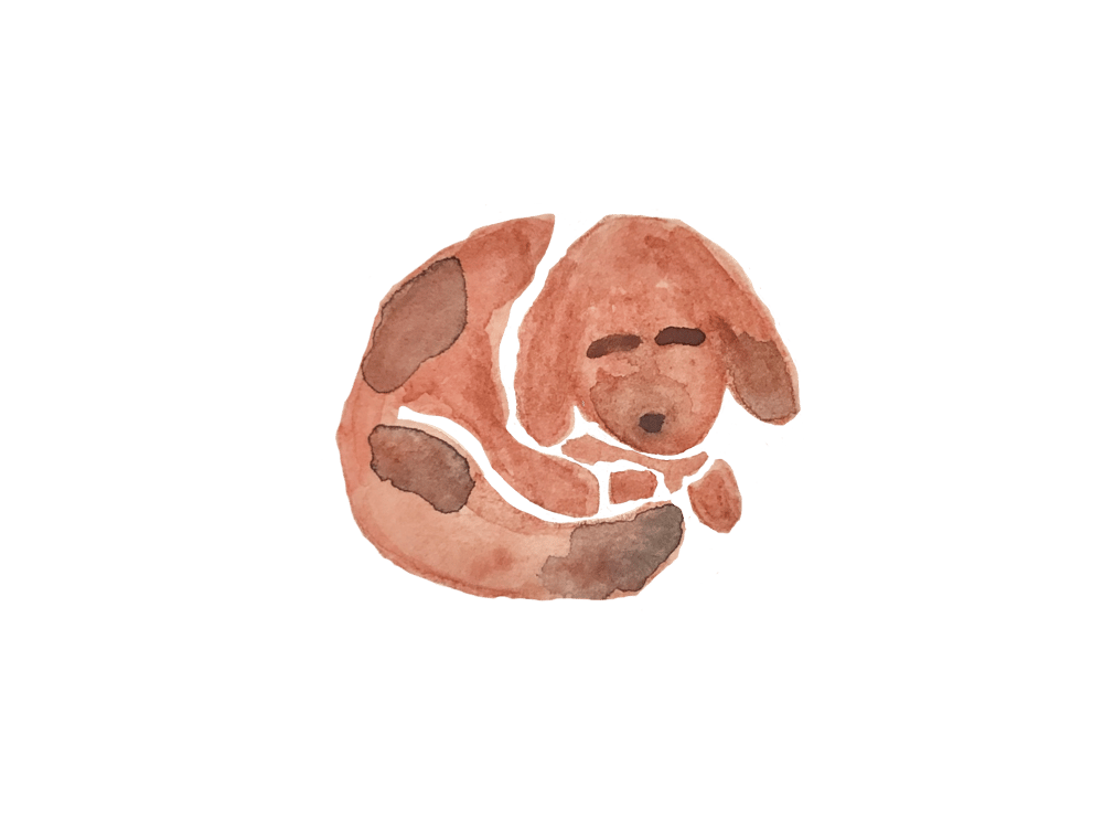 A different Way of Sprucing Up? - image 1 - student project