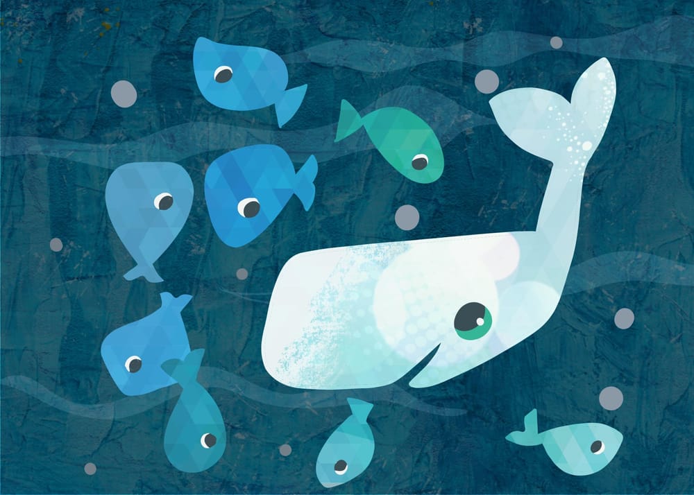 Whale of a good time - image 4 - student project