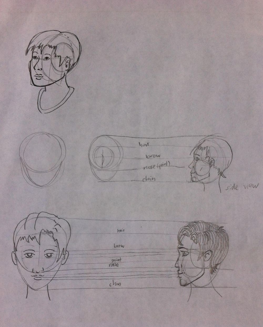 Drawing a Head Skillshare Student Project