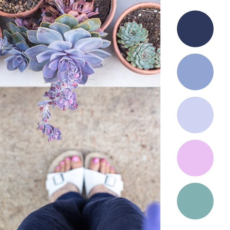 Colour Palette fun - image 3 - student project