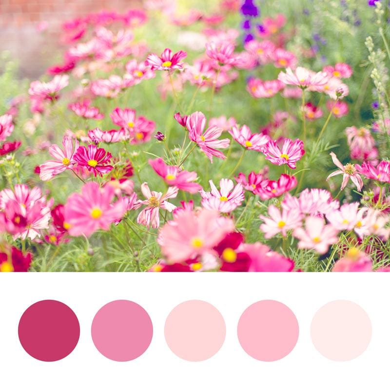 Colour Palette fun - image 2 - student project