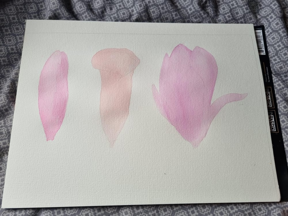 Beyond my Comfort Zone! Skillshare Student Project