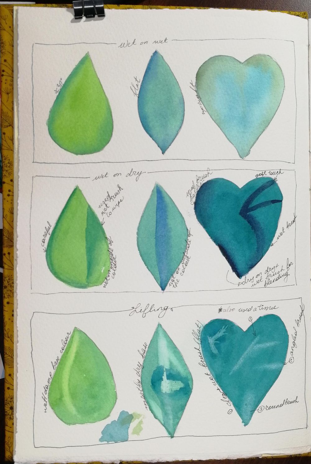 Are montsera leaves the new orchids? - image 1 - student project