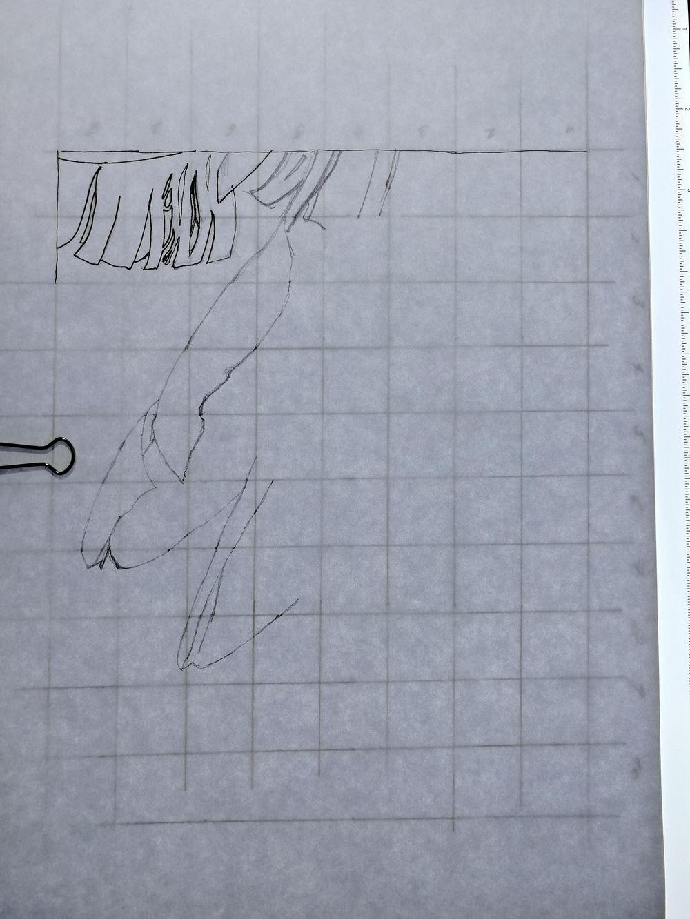 Are montsera leaves the new orchids? - image 5 - student project