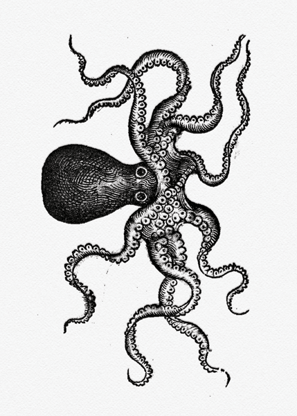 My Letterpress Prints - image 11 - student project