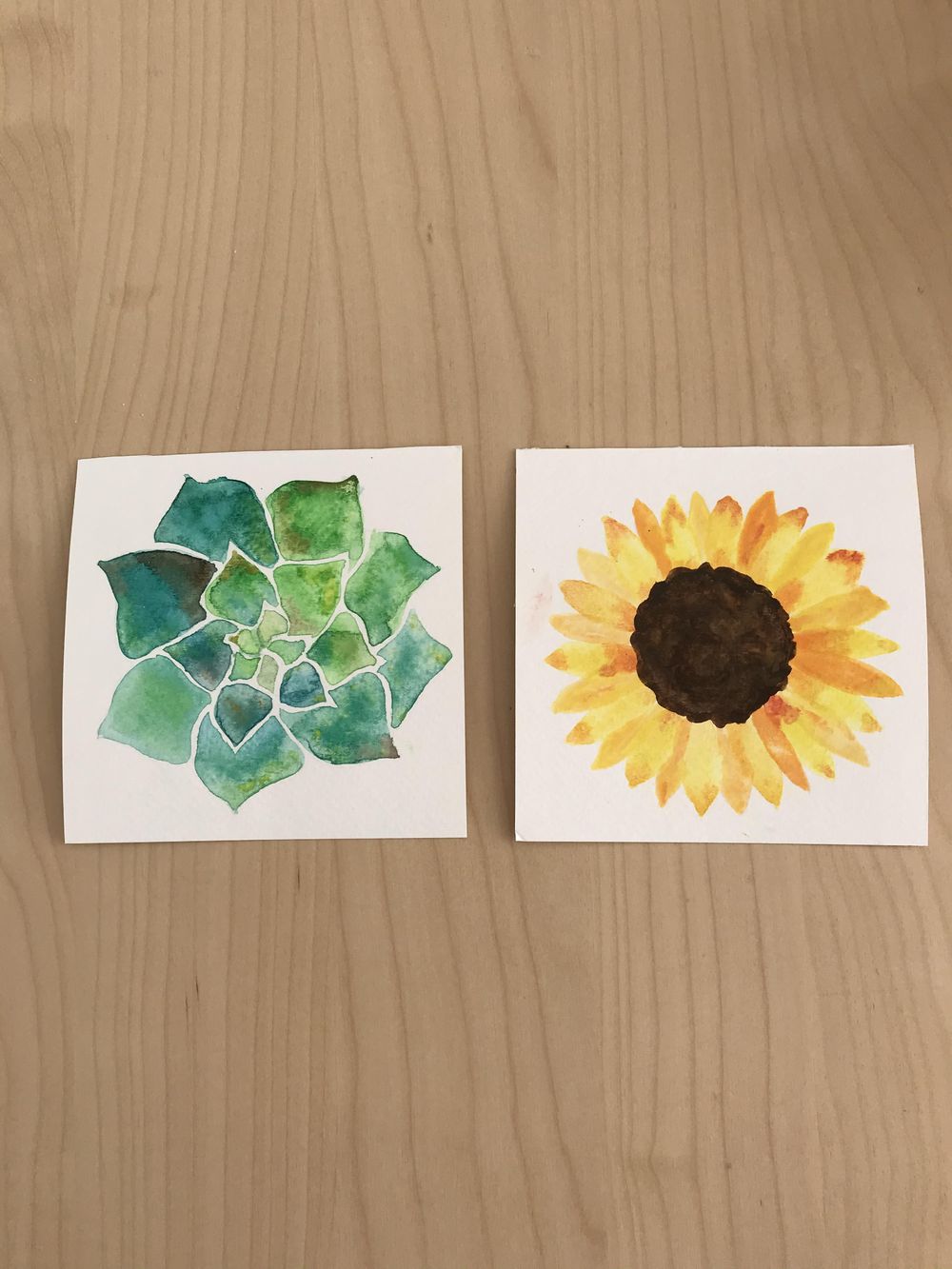 First time with watercolor and I loved it ! - image 1 - student project