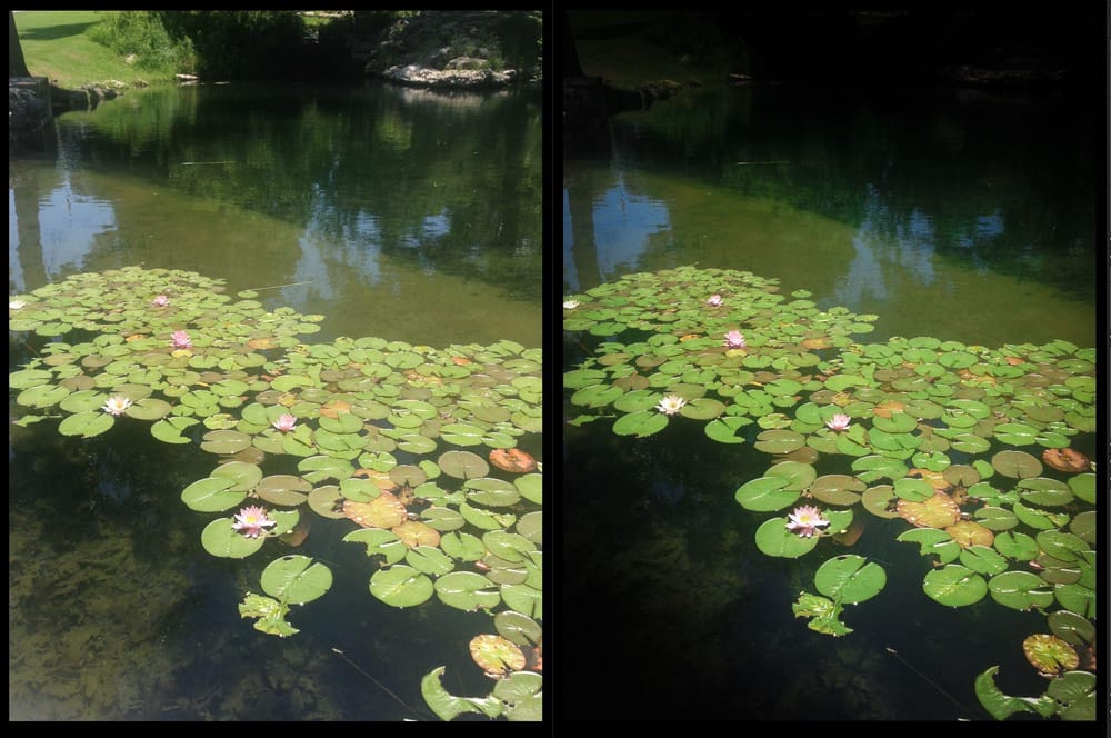Photo Editing Fundamentals - Brigthening up some old favorites. - image 1 - student project
