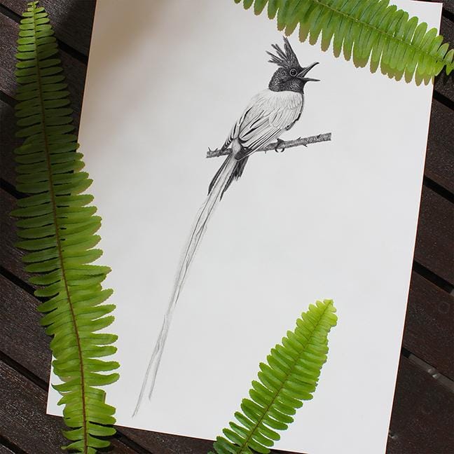 Birds of Paradise - image 3 - student project