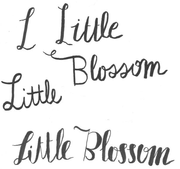 Little Blossom Honey - image 3 - student project