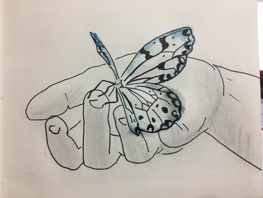 Beginner Practice - image 5 - student project