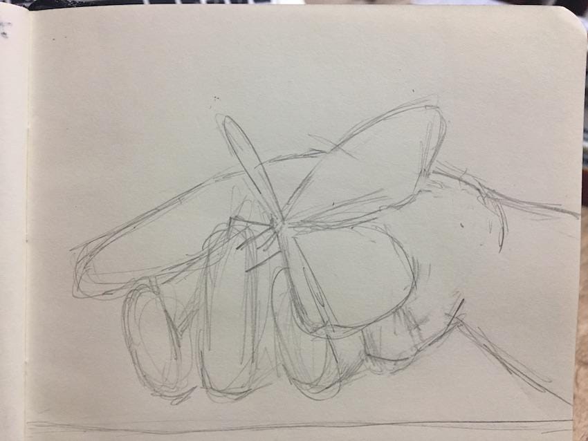 Beginner Practice - image 2 - student project