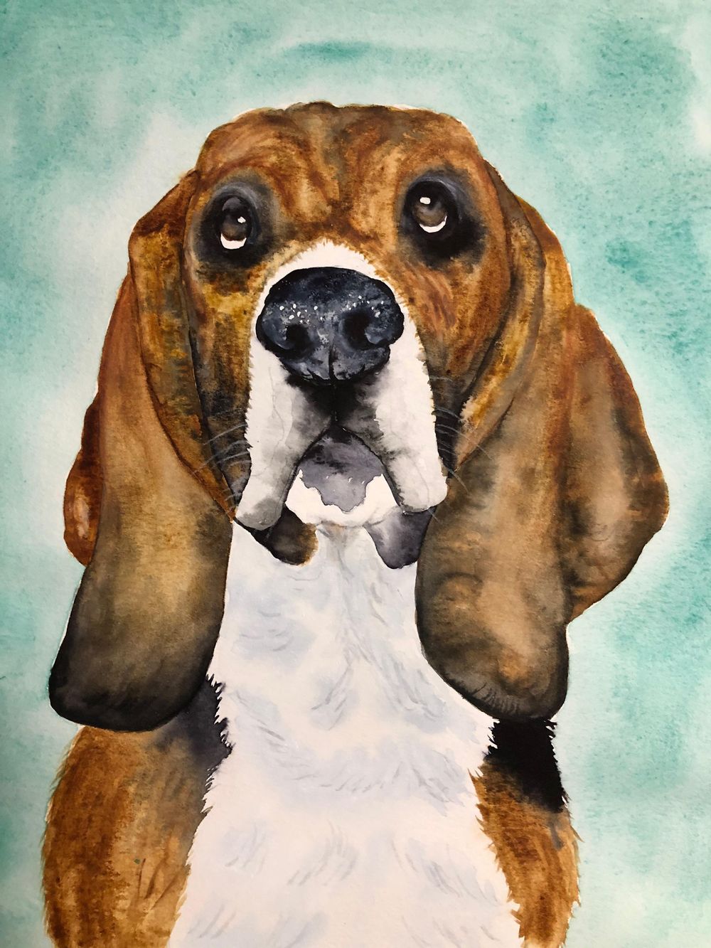 Painting Cooper - image 1 - student project