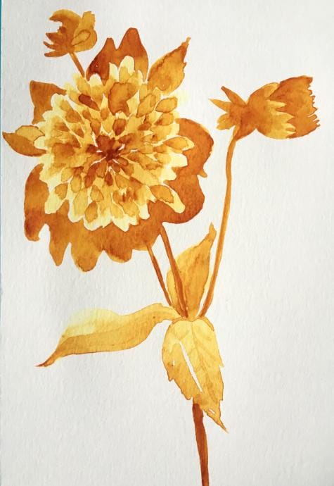 Watercolor Methods - image 2 - student project