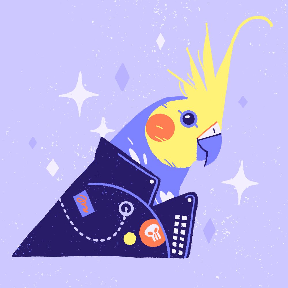 Portrait of Pütyi, the parrot - image 6 - student project