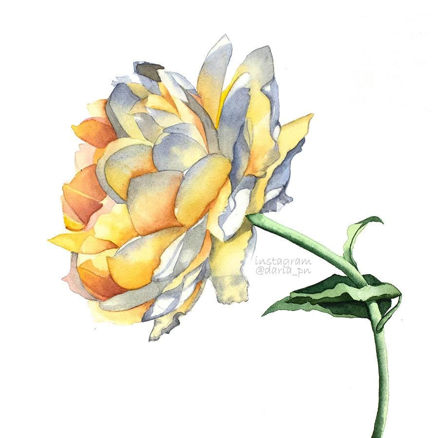 Beautiful Rose - image 1 - student project