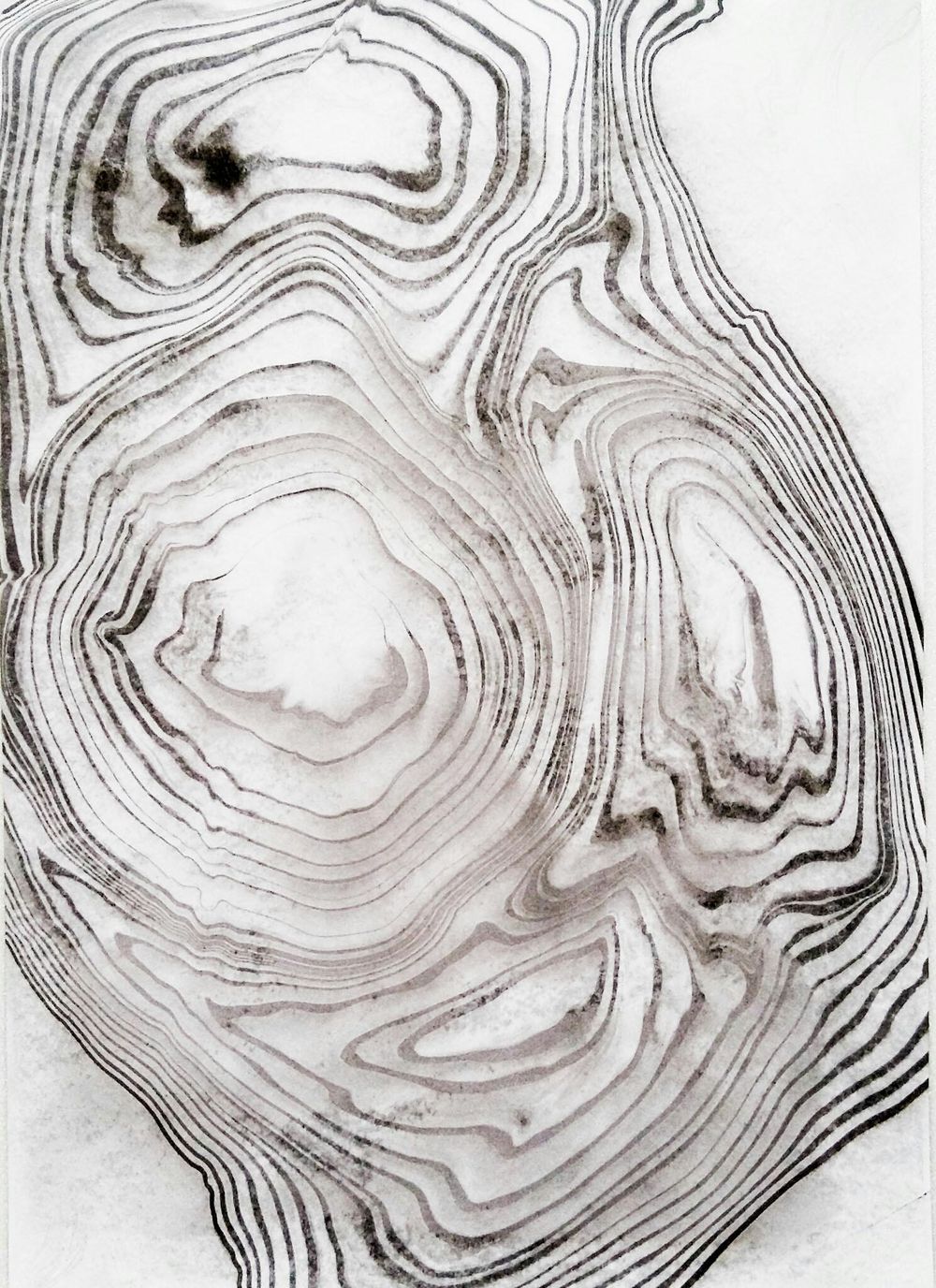 Sample Project - image 4 - student project