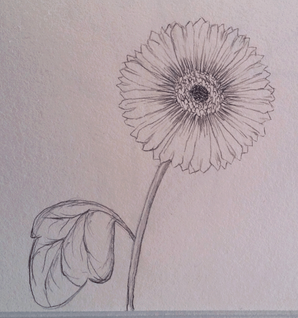 Doodles and Frames - image 3 - student project
