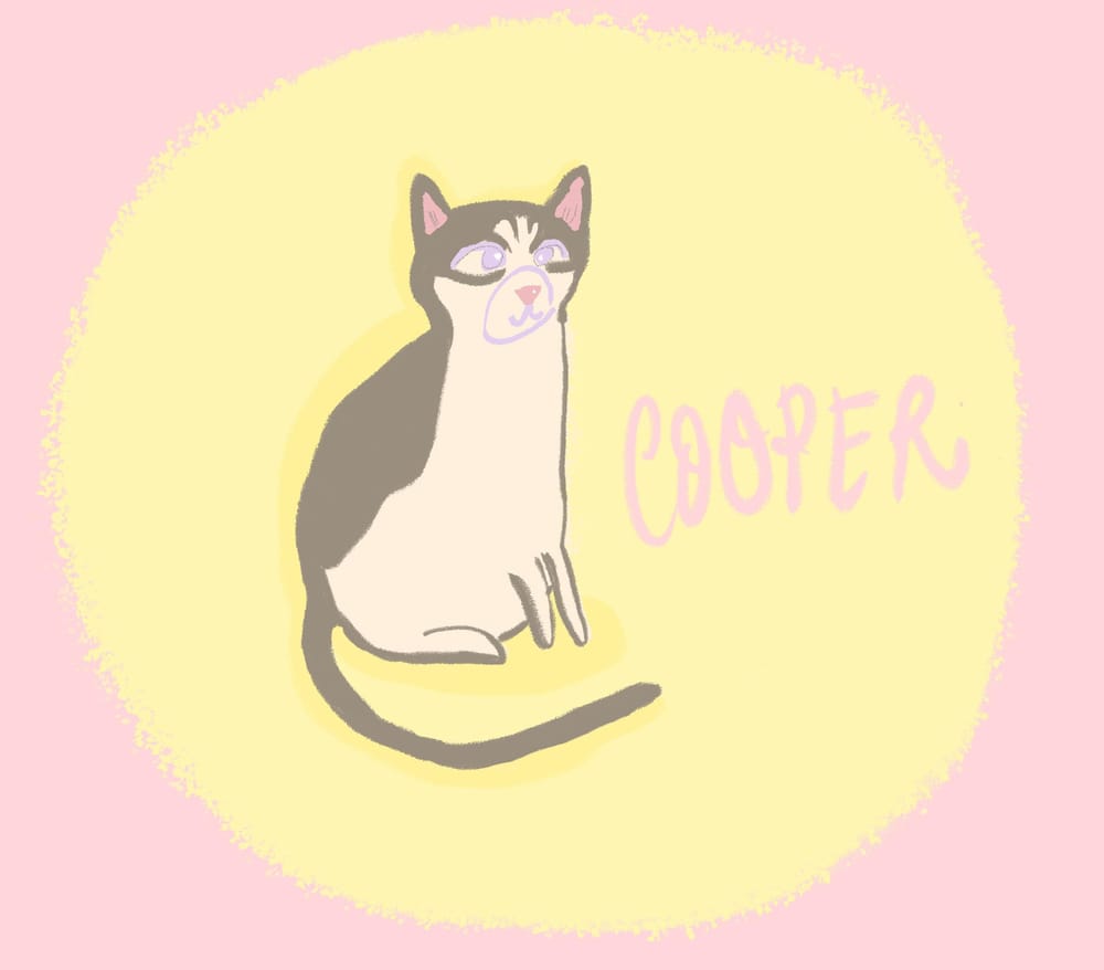 Mr. Cooper - image 3 - student project