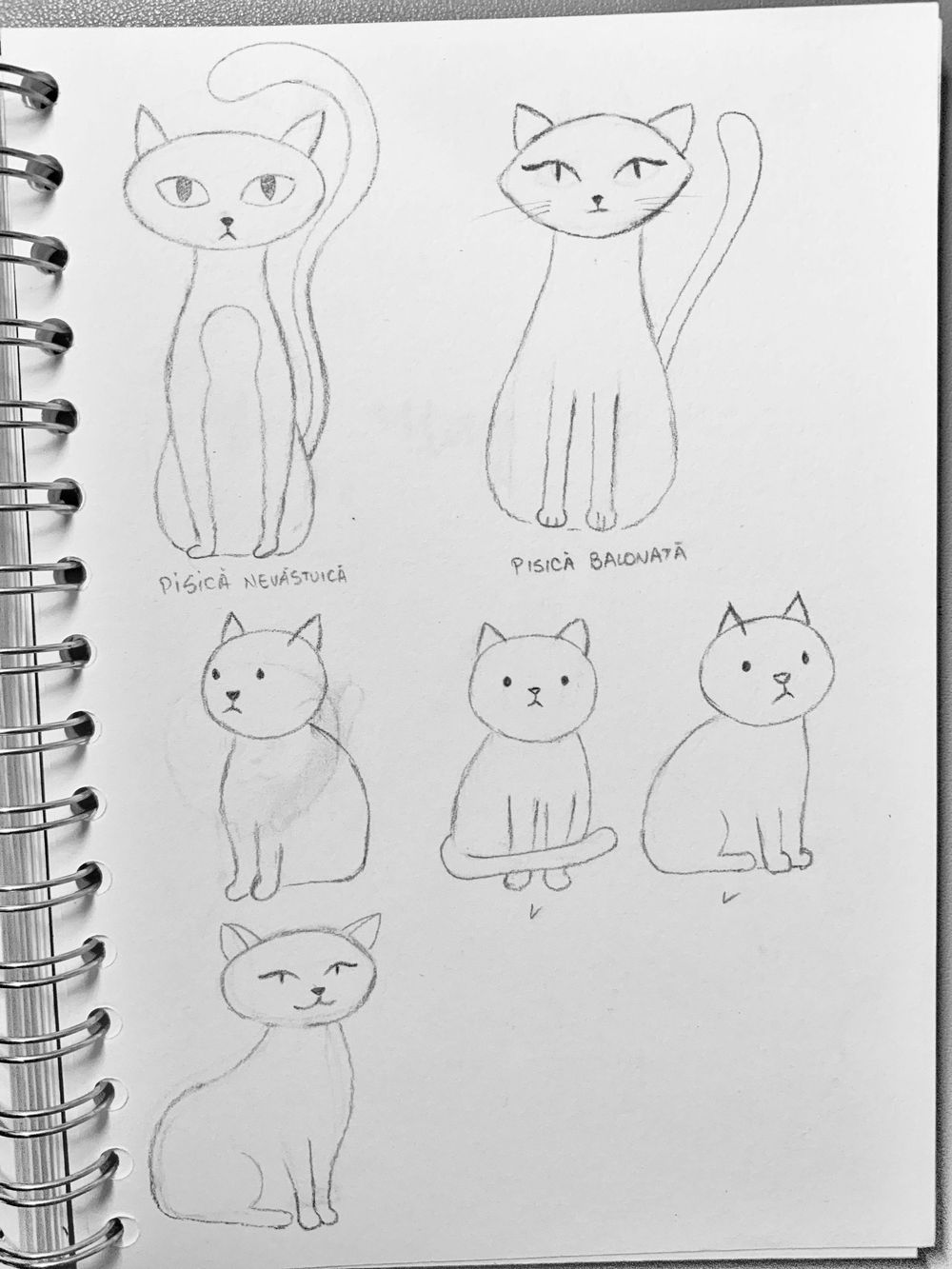 Cat brings offering - image 1 - student project