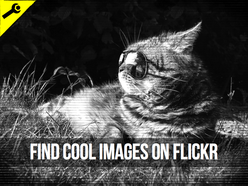 Creare content that can't be ignored - image 14 - student project