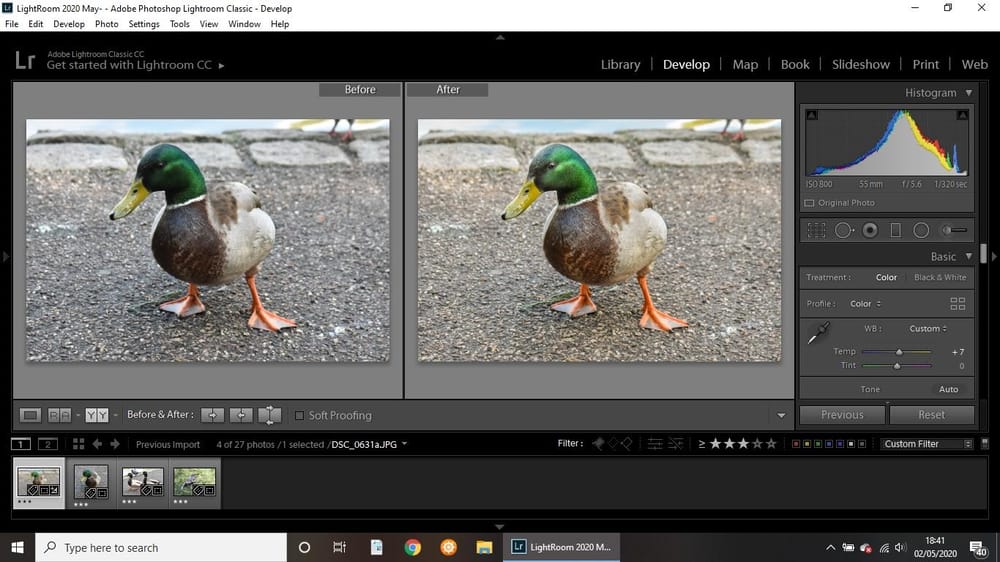Ducks - image 2 - student project
