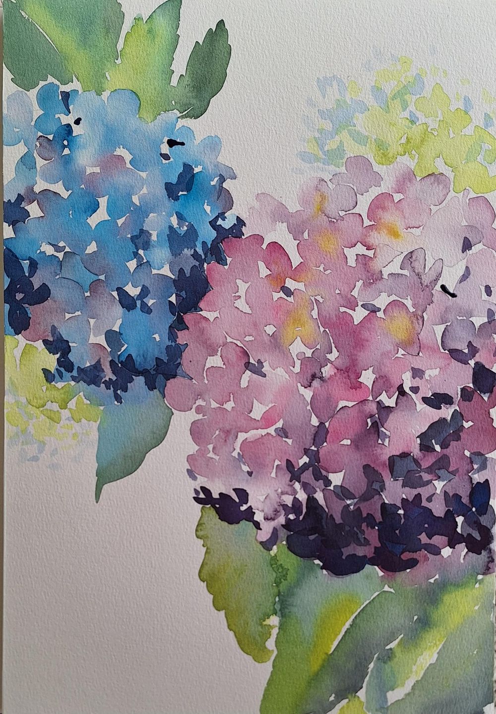 Projects - Compose, Create, Paint Part 1 - image 3 - student project
