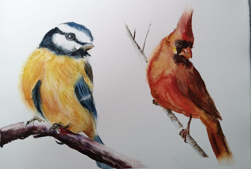 Birbs - image 2 - student project
