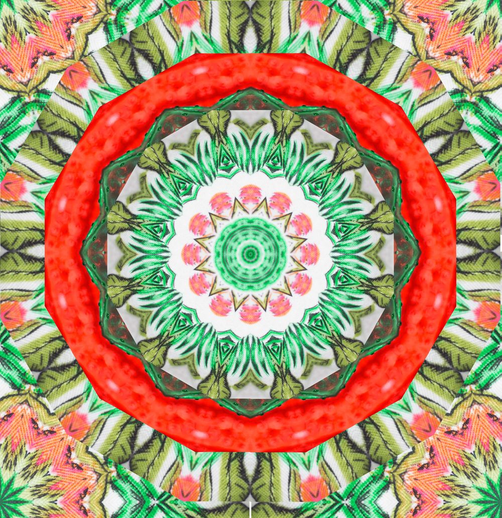 Kaleidoscopes and Mandalas - image 2 - student project