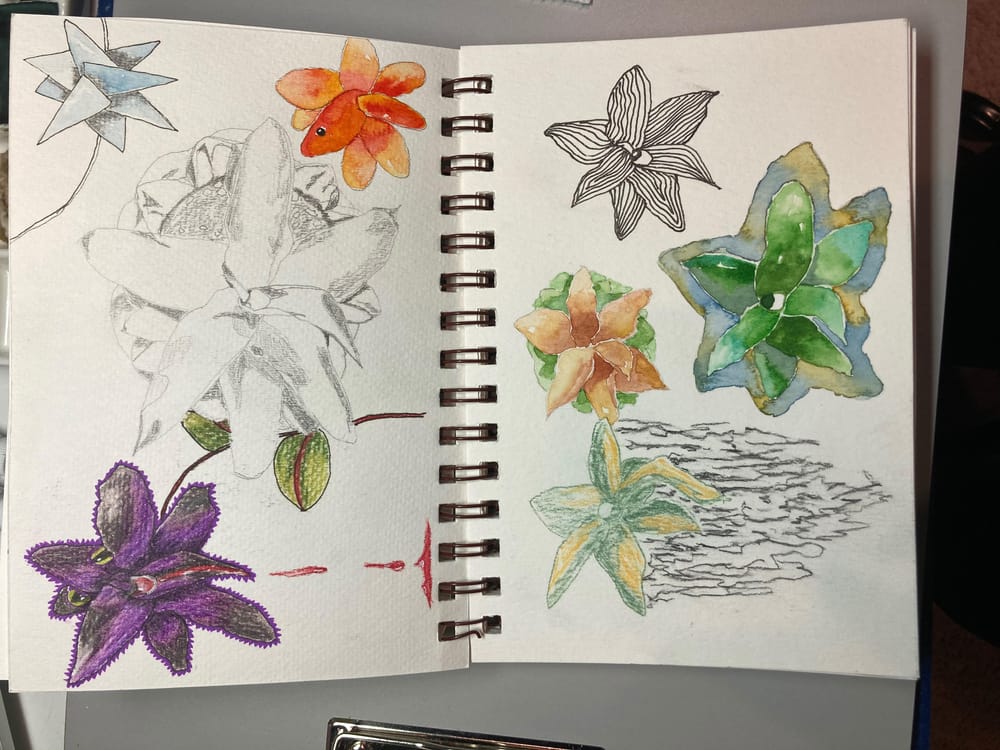 Creativity Unleashed with Marie-Noëlle - image 4 - student project