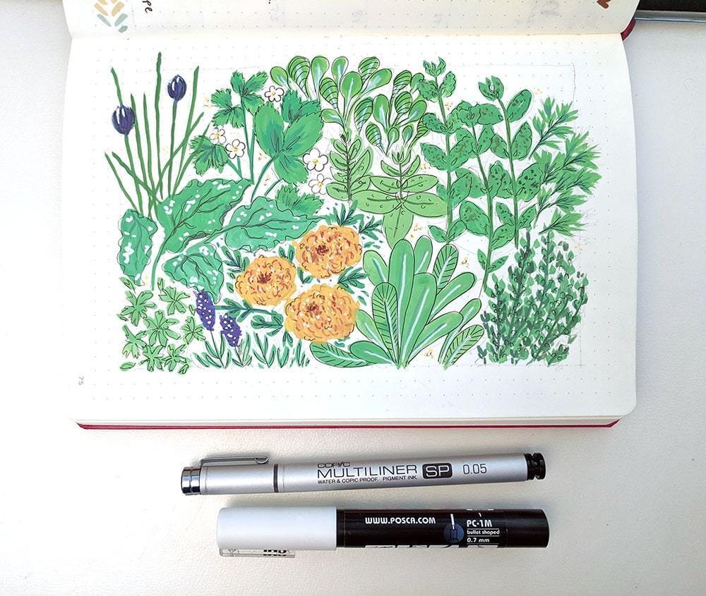 Botanical Illustration - image 3 - student project