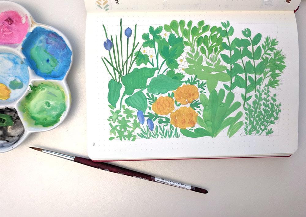 Botanical Illustration - image 2 - student project