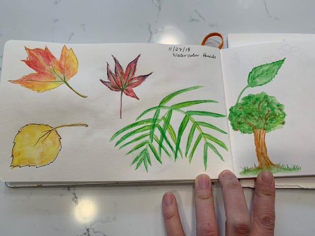 Daily Sketchbook Practice - image 2 - student project