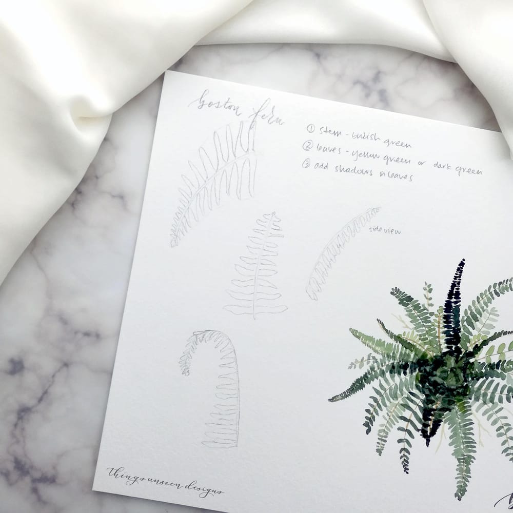 Boston Fern plant project - image 1 - student project