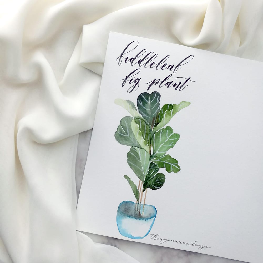 Fiddleleaf Fig Plant project - image 2 - student project