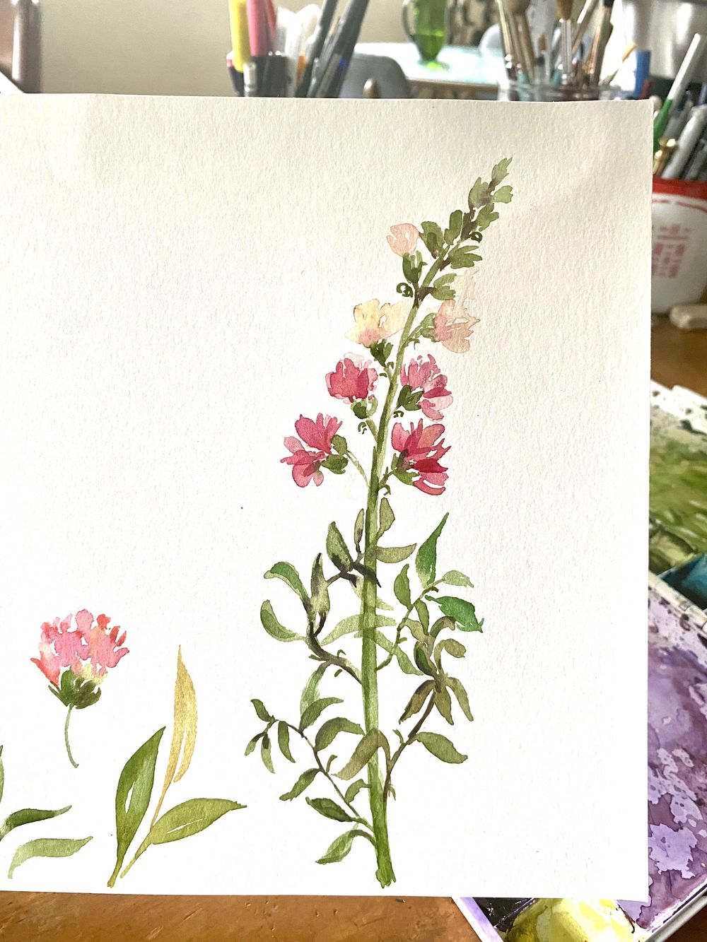 snap dragon Skillshare Student Project