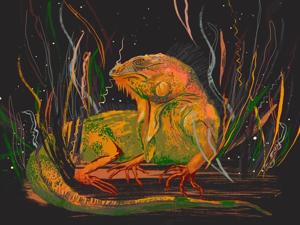 Iguana in the style of Molly Mendoza - image 2 - student project