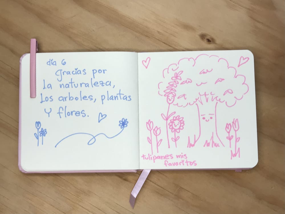 Diario ilustrado de gratitud 21 días - image 2 - student project