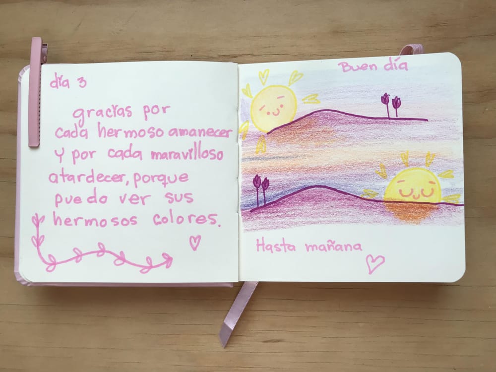 Diario ilustrado de gratitud 21 días - image 8 - student project